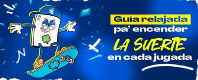 Guía de Instalación de bplay